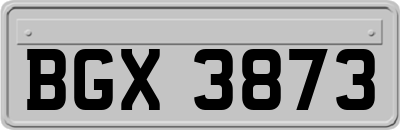 BGX3873