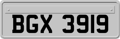 BGX3919