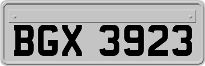BGX3923