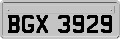 BGX3929