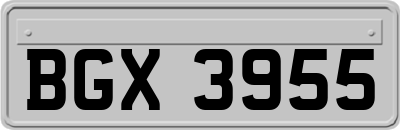BGX3955