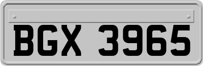 BGX3965