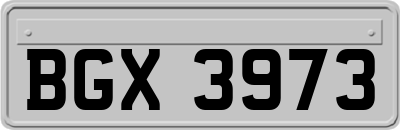 BGX3973