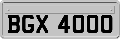 BGX4000