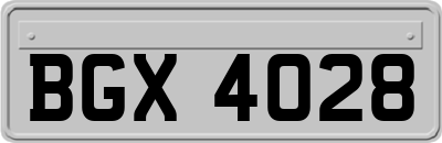 BGX4028