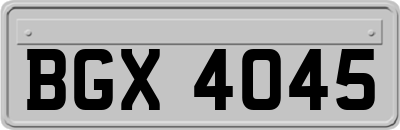 BGX4045