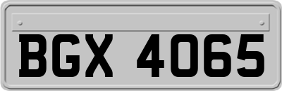 BGX4065