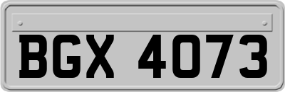 BGX4073