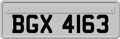 BGX4163