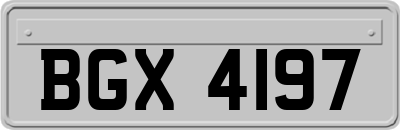 BGX4197
