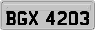 BGX4203