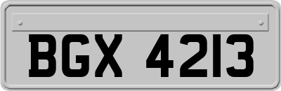 BGX4213