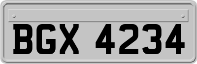 BGX4234