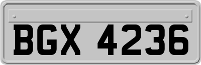 BGX4236