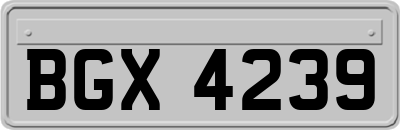 BGX4239