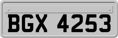 BGX4253