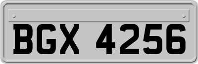 BGX4256