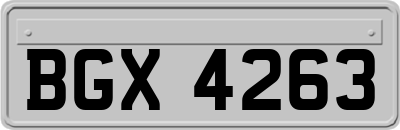 BGX4263