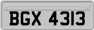 BGX4313