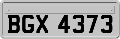 BGX4373