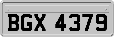 BGX4379