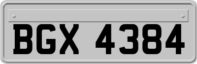 BGX4384