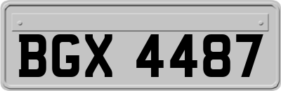 BGX4487