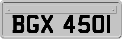 BGX4501