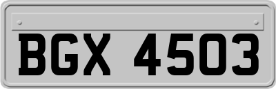 BGX4503