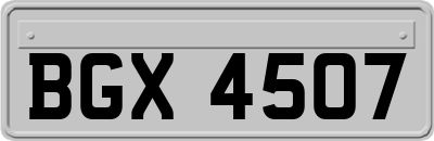 BGX4507