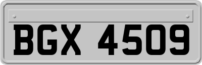 BGX4509