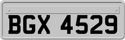 BGX4529