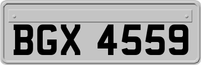 BGX4559
