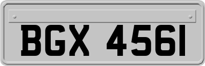 BGX4561