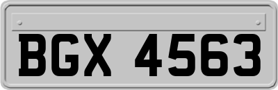 BGX4563