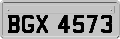 BGX4573