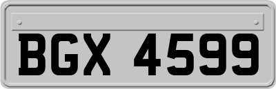 BGX4599