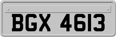 BGX4613