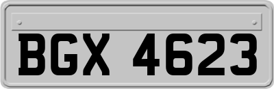 BGX4623