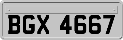 BGX4667