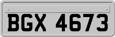BGX4673