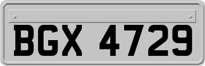 BGX4729