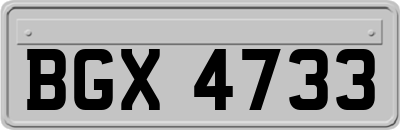 BGX4733