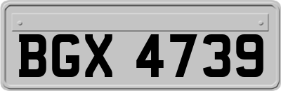 BGX4739