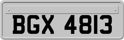 BGX4813