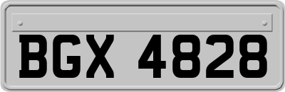 BGX4828