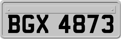BGX4873