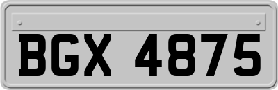 BGX4875