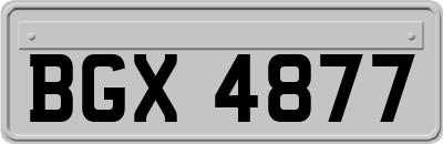 BGX4877