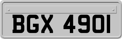 BGX4901